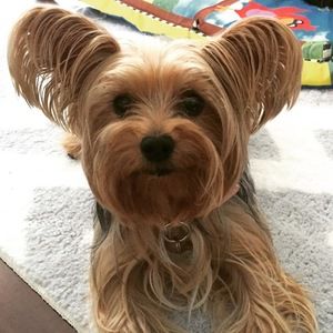 Meet your Posher, Aissa